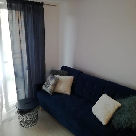 Apartament Przy Parku رادوم المظهر الخارجي الصورة
