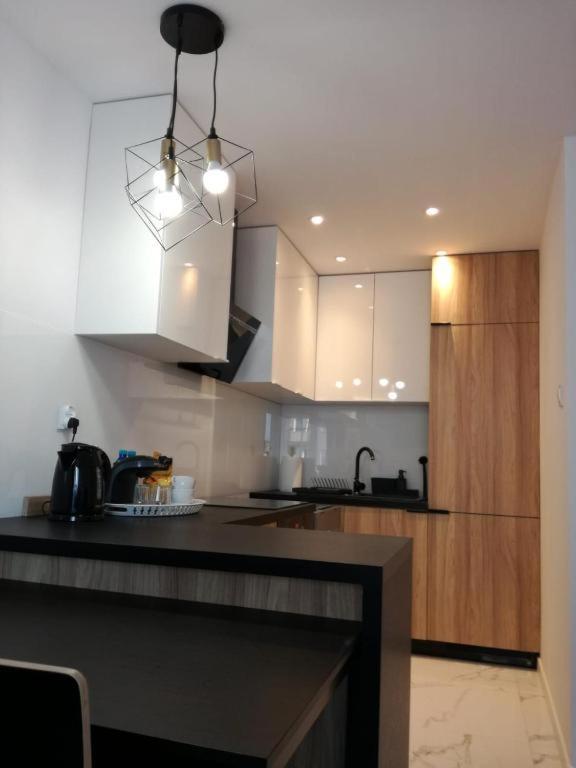 Apartament Przy Parku رادوم المظهر الخارجي الصورة