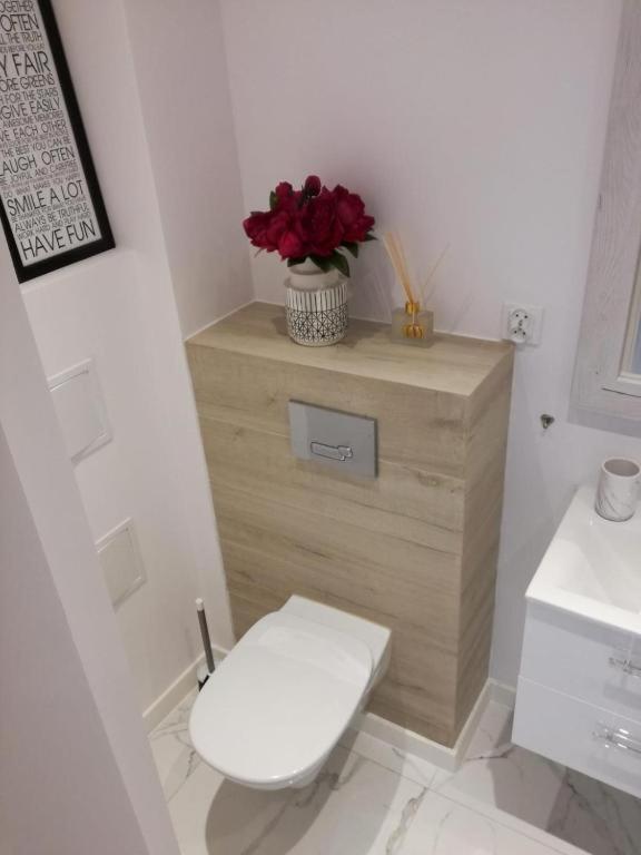Apartament Przy Parku رادوم المظهر الخارجي الصورة