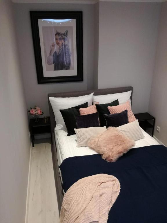 Apartament Przy Parku رادوم المظهر الخارجي الصورة